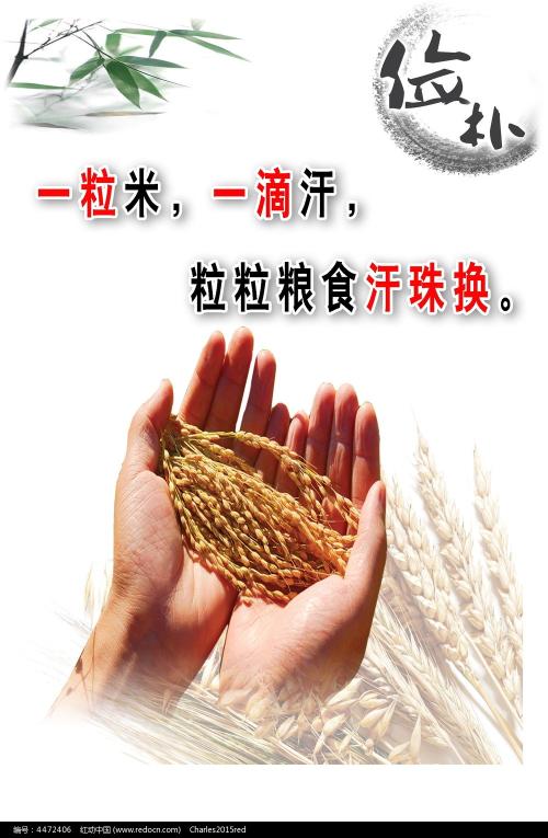 买张日本九州牙科大学文凭毕业证